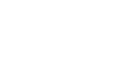 INS Québec logo blanc